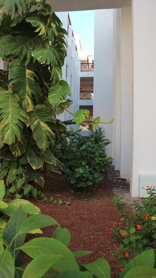 Apartamento En Tenerife Sur, Parque Santiago 2 Arona  Eksteriør bilde