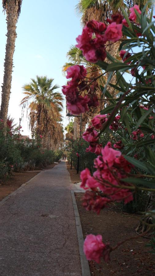 Apartamento En Tenerife Sur, Parque Santiago 2 Arona  Eksteriør bilde